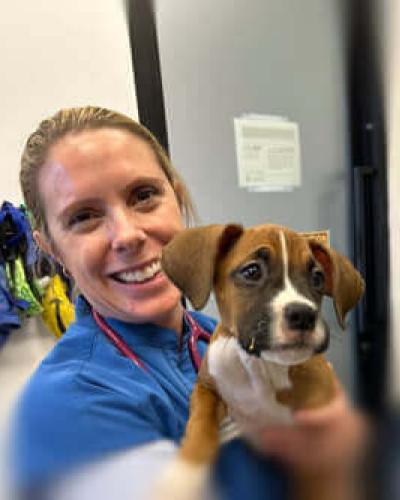 Dr. Lauren Barry