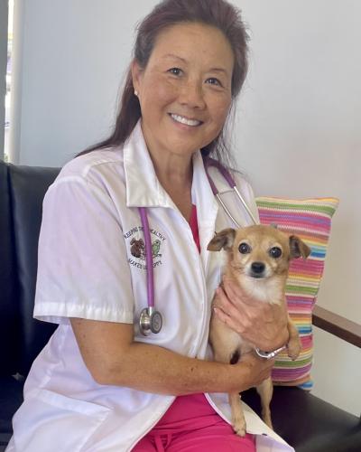 Dr. Ann Ichikawa