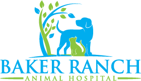 Baker Ranch Animal Hospital